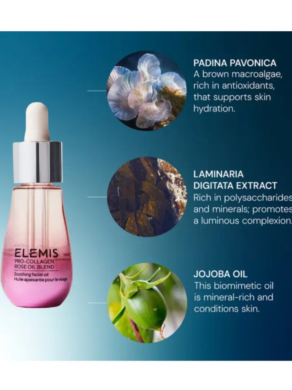 Elemis Pro-Collagen Rose Oil Blend NEW - Picture 2 of 4